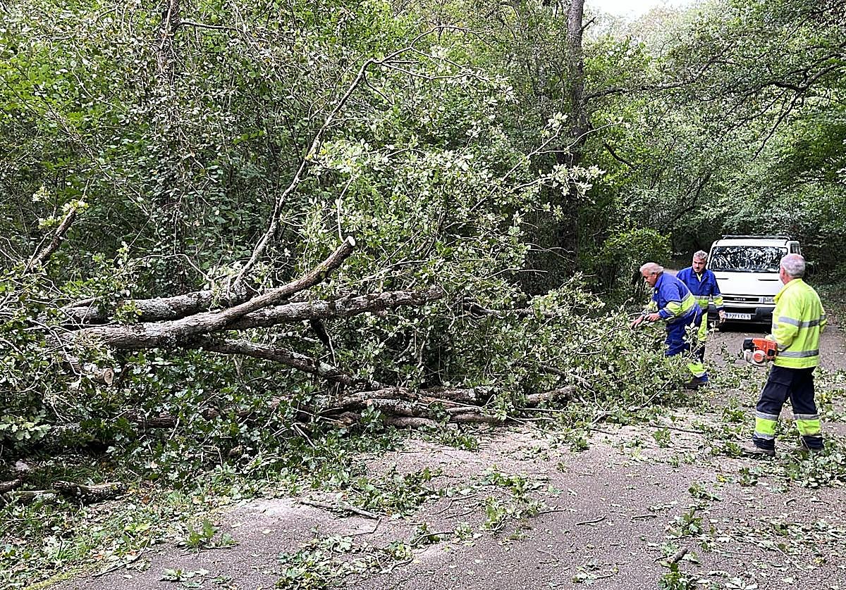 En Valle de Mena se han registrado numerosos incidentes.