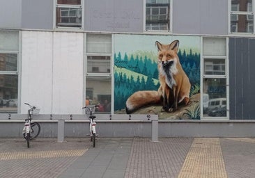 Murales de animales en los centros cívicos de Burgos para concienciar sobre la fauna de la provincia