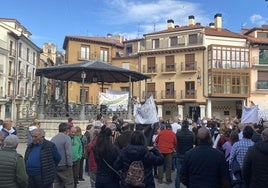 Concentración contra las macrogranjas en Aranda de Duero, Burgos.