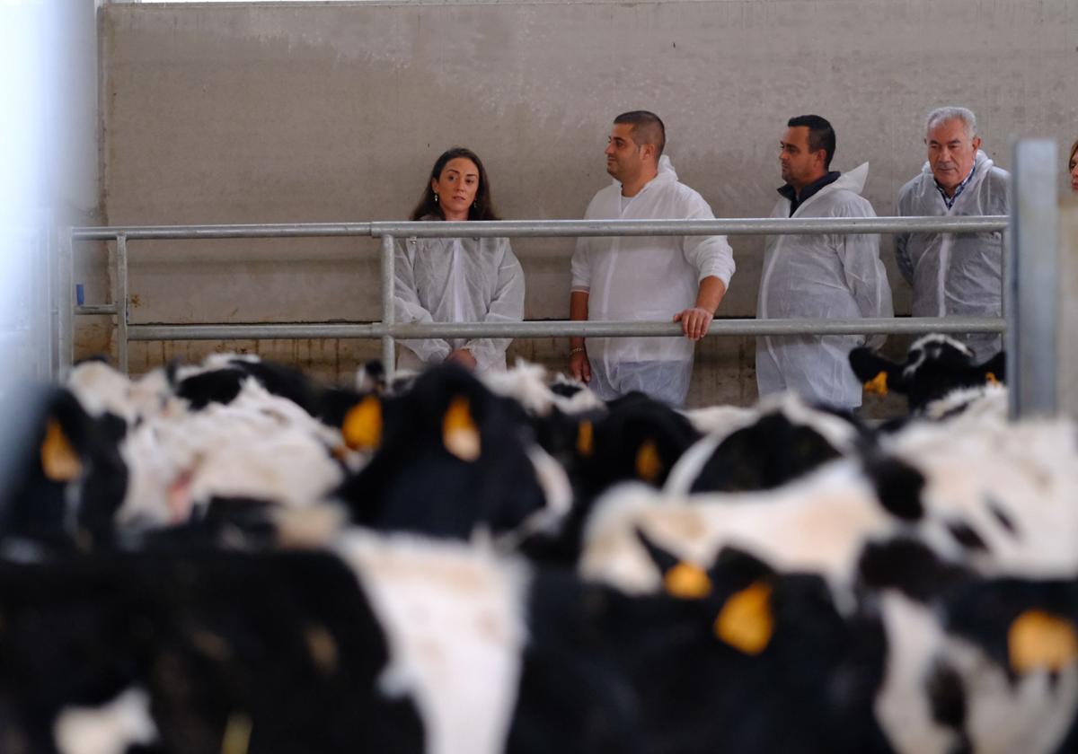 La consejera de Agricultura, Ganadería y Desarrollo Rural, María González Corral en su vista a una explotación ganadera en Corrales del Vino.