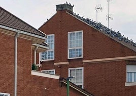 Una casa del barrio de Villatoro con palomas en el tejado.