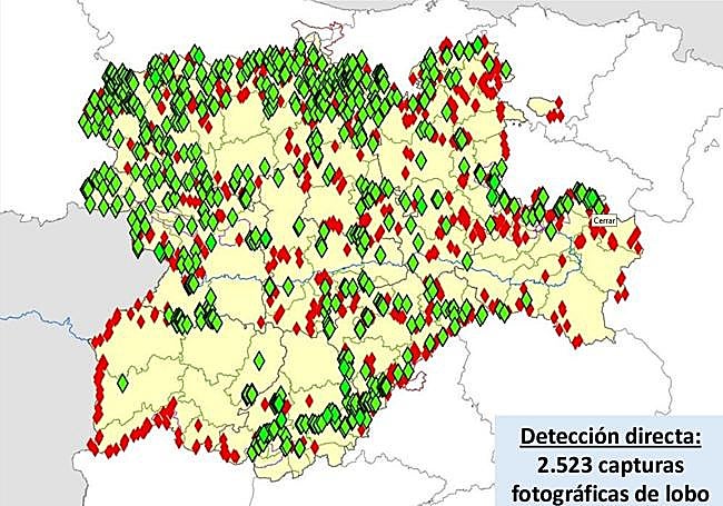 Lobos 'capturados' mediante fotografías.