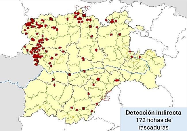 Rascaduras de lobo localizadas.