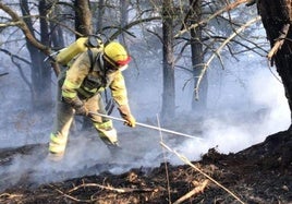 Un profesional trabaja en la extinción de un incendio.