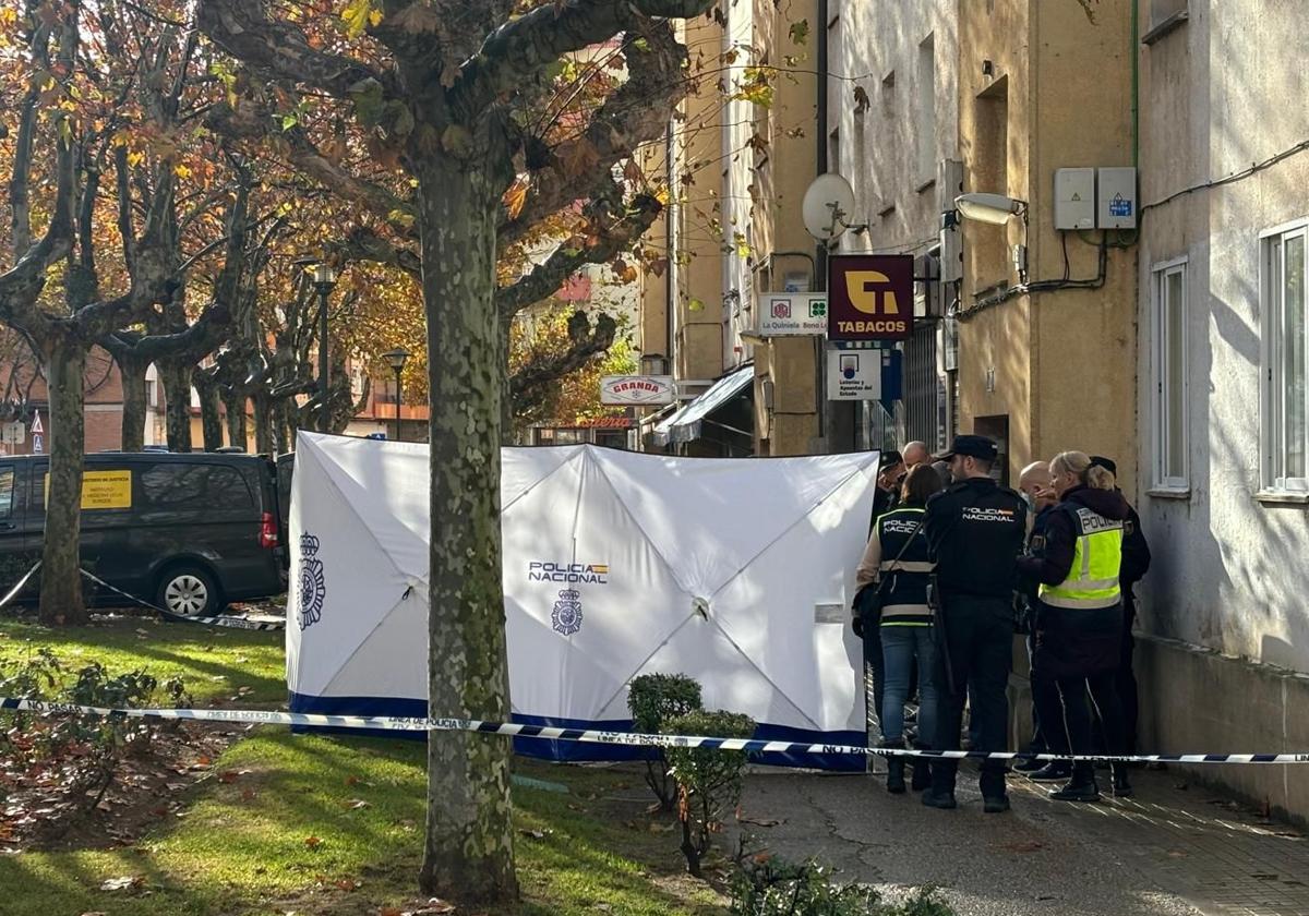 Los investigadores trabajan en el lugar del suceso en la avenida de Burgos de Aranda de Duero con el cadáver tapado y la zona acordonada.