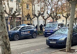 La Policía Nacional durante el registro de la vivienda.