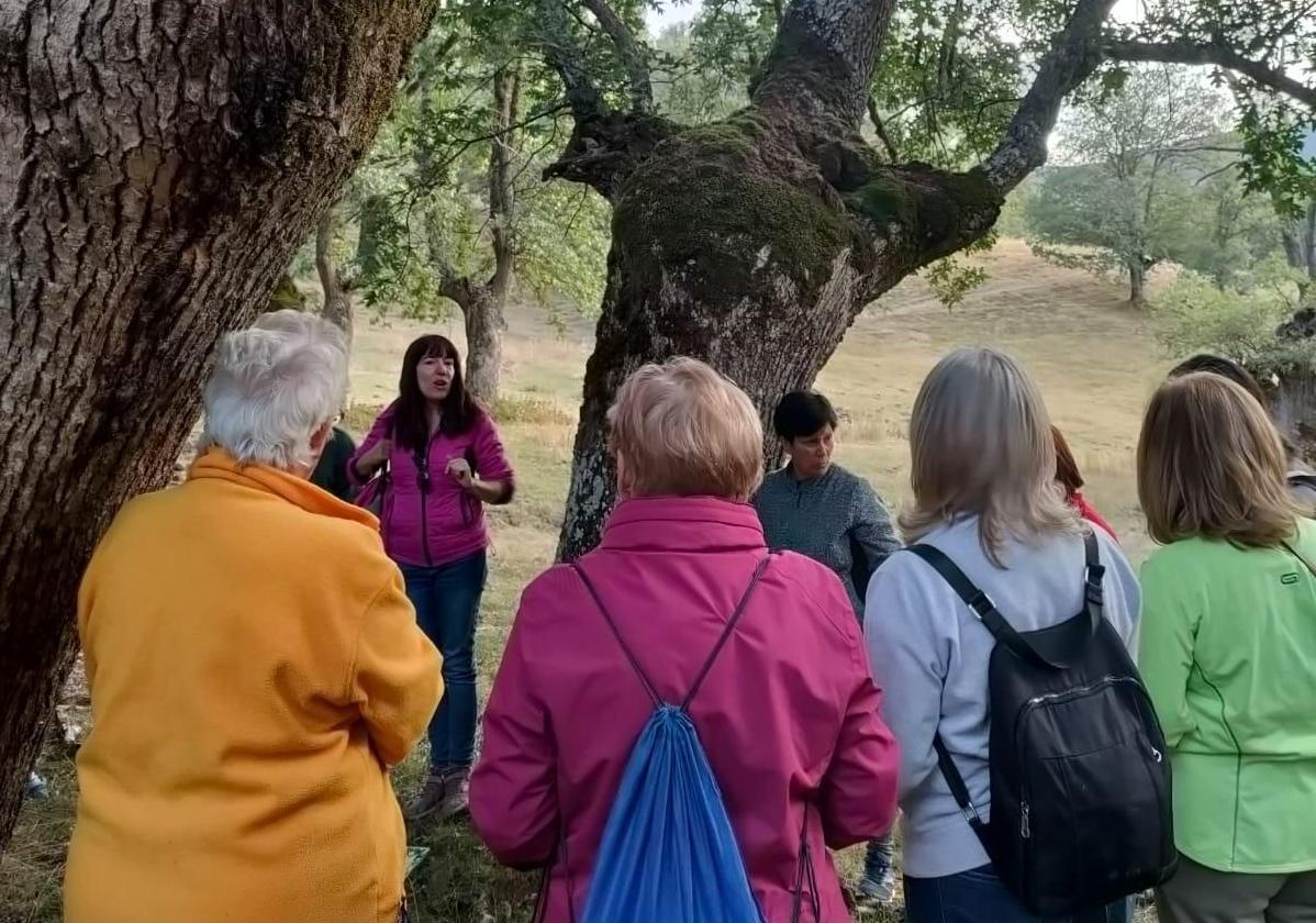 Usuarios del programa 'Baños de Bosque terapéuticos en CEAS'.