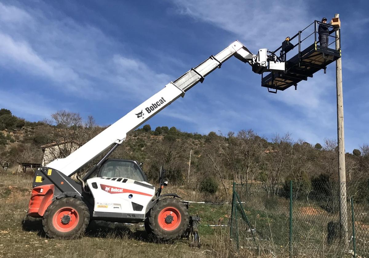 Colocación de una caja nido para pájaros en Covarrubias, Burgos.