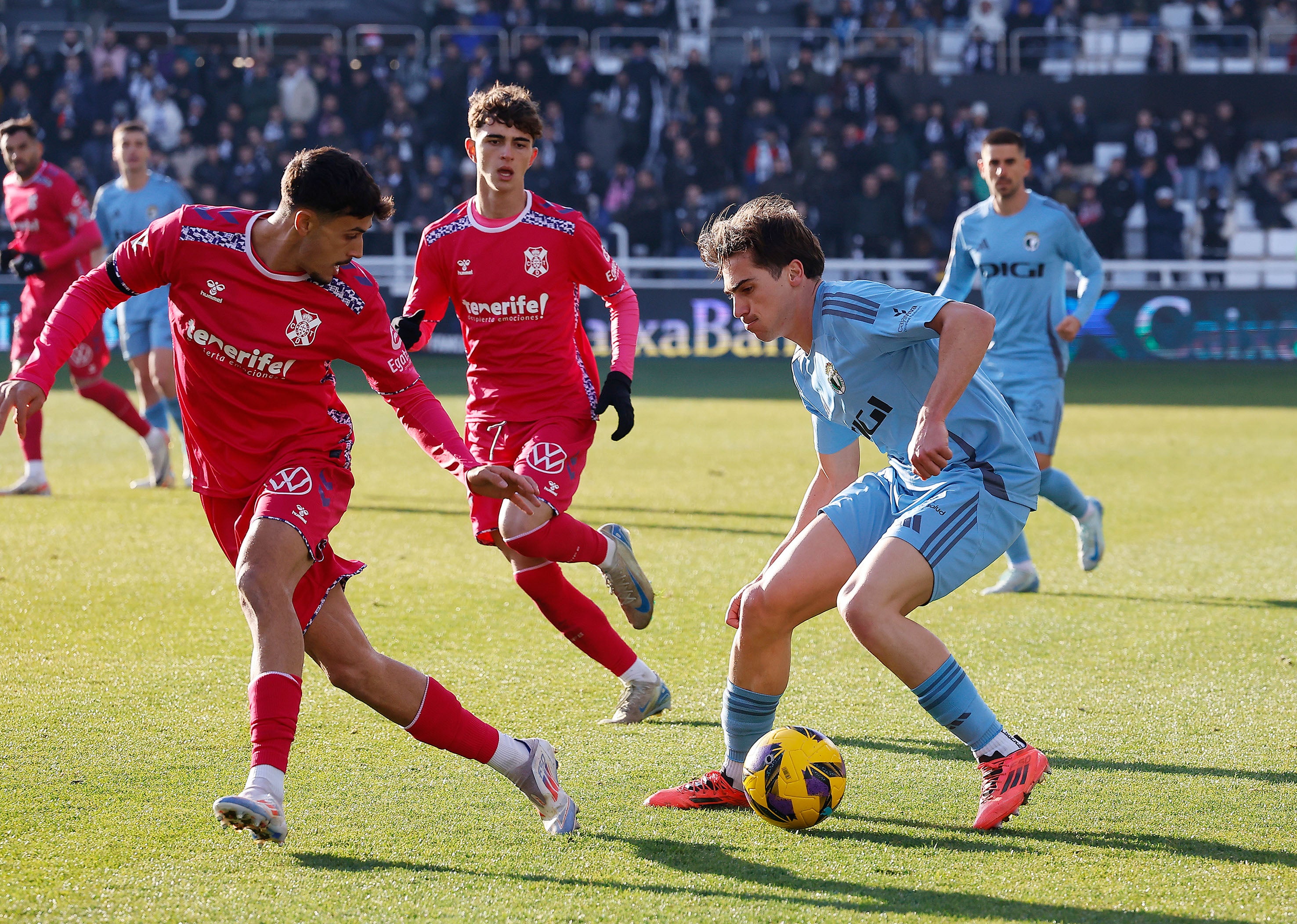 Así ha sido, en imágenes, la victoria del Burgos CF ante el Tenerife