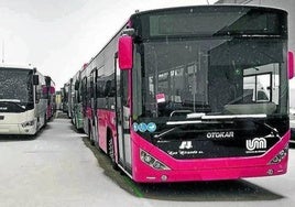 En primer plano, uno de los autobuses urbanos de Miranda de Ebro.