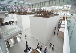 Interior del Museo de la Evolución Humana.