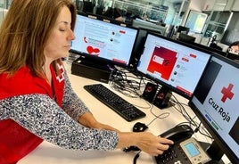 Personal de Cruz Roja atendiendo telemáticamente.