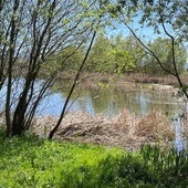 La recuperación de las lagunas de Atapuerca estará lista en primavera de 2026