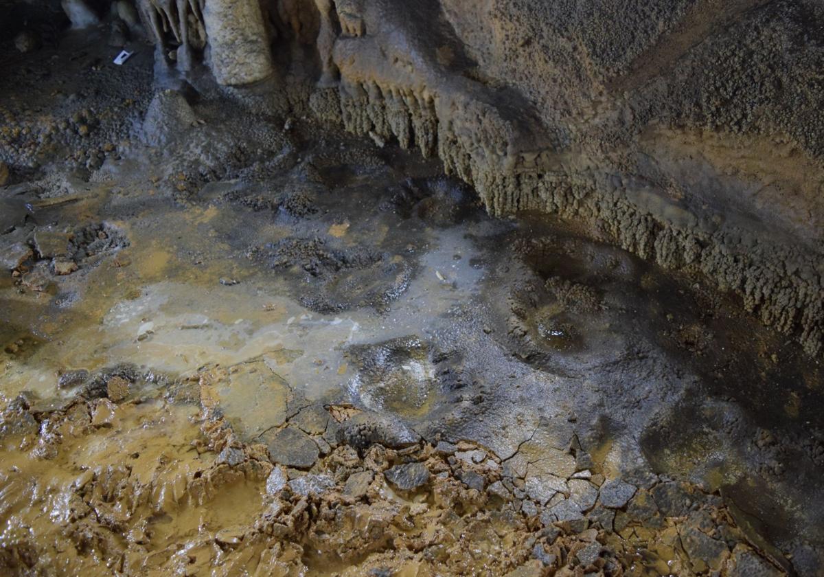 Huellas oso en la Cueva Honseca.