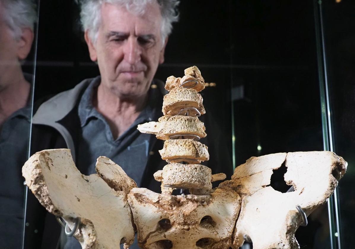 Arsuaga junto a la Pelvis Elvis, hallada en la Sima de los Huesos de Atapuerca.