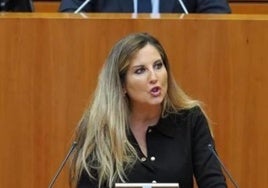 Ana Rosa Hernando, durante una intervención en las Cortes de Castilla y León.