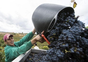 Ribera del Duero ve una oportunidad en el acuerdo con Mercosur y apunta a Brasil