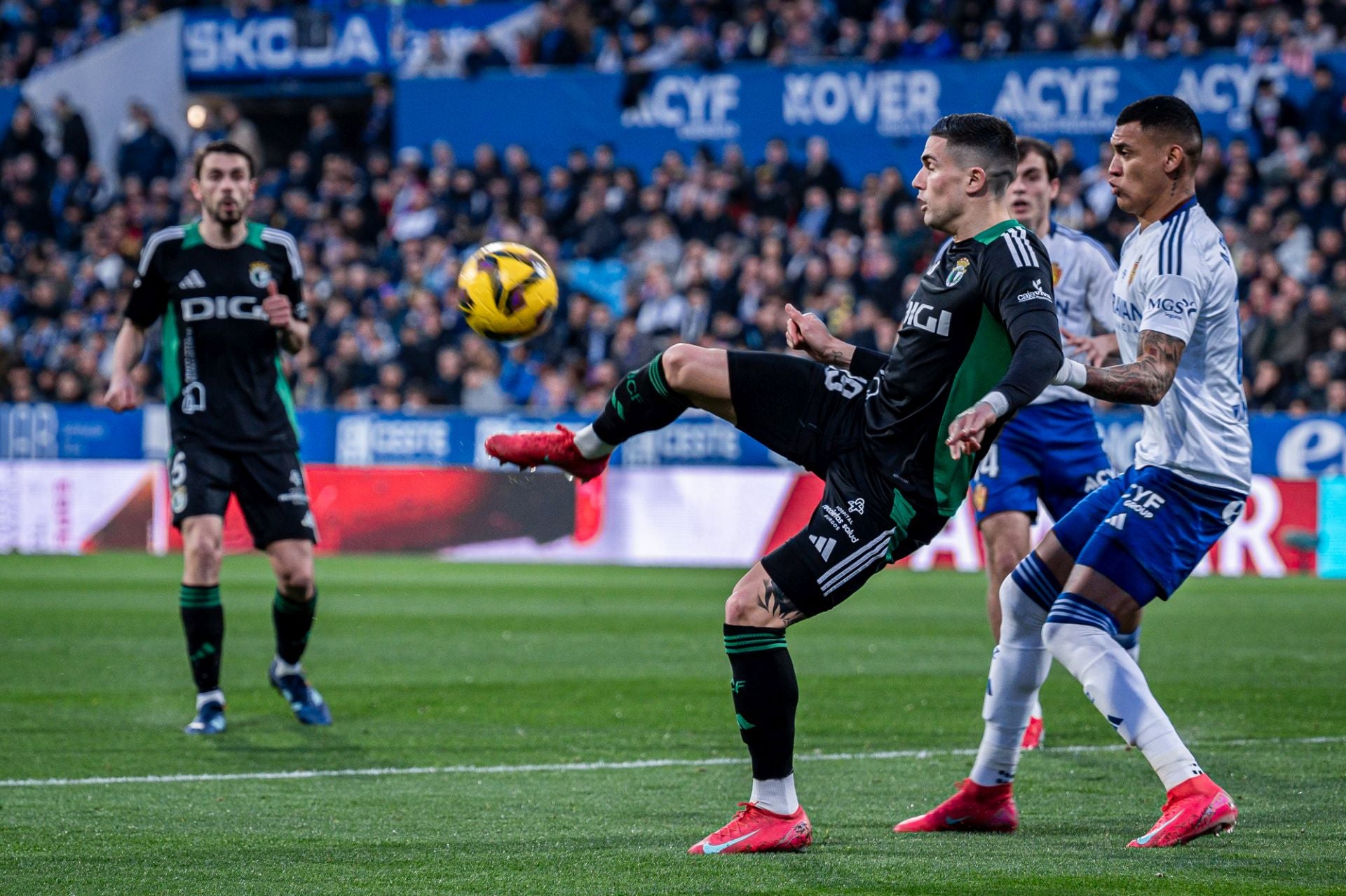 Las imágenes del encuentro entre el Real Zaragoza y del Burgos CF