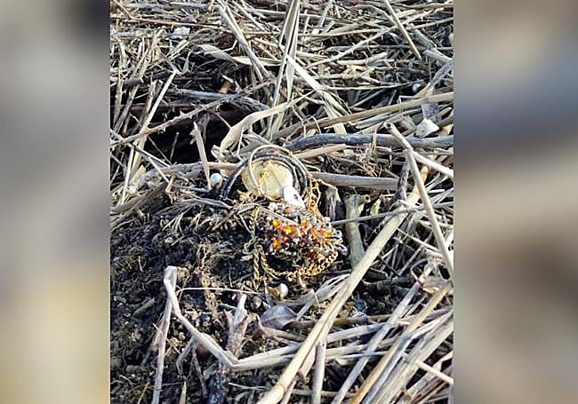 Una de las joyas de las que el ladrón se desprendió en su huida.