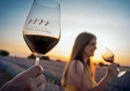 Copa de vino de La Ribera del Duero.