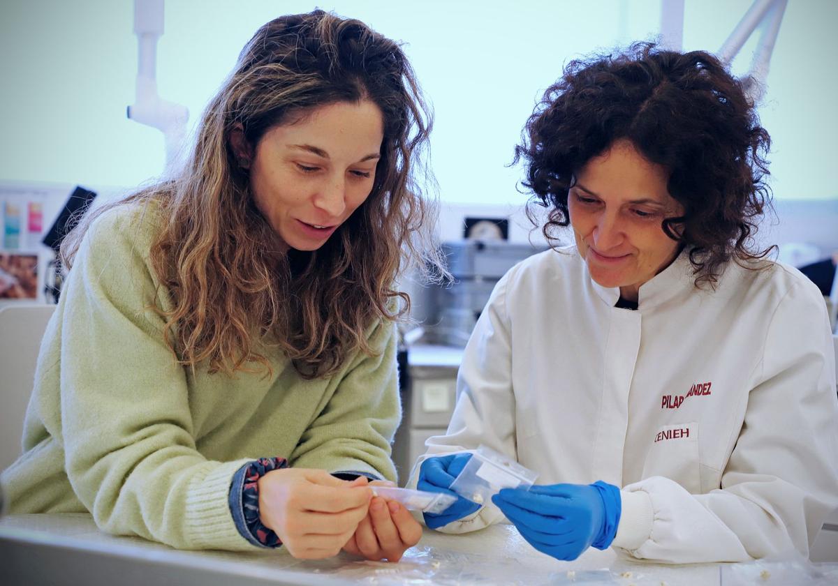 Marina Martínez de Pinillos (i.) y Pilar Fernández Colón con dos piezas dentales de esta gran colección del Ratón Pérez del CENIEH.