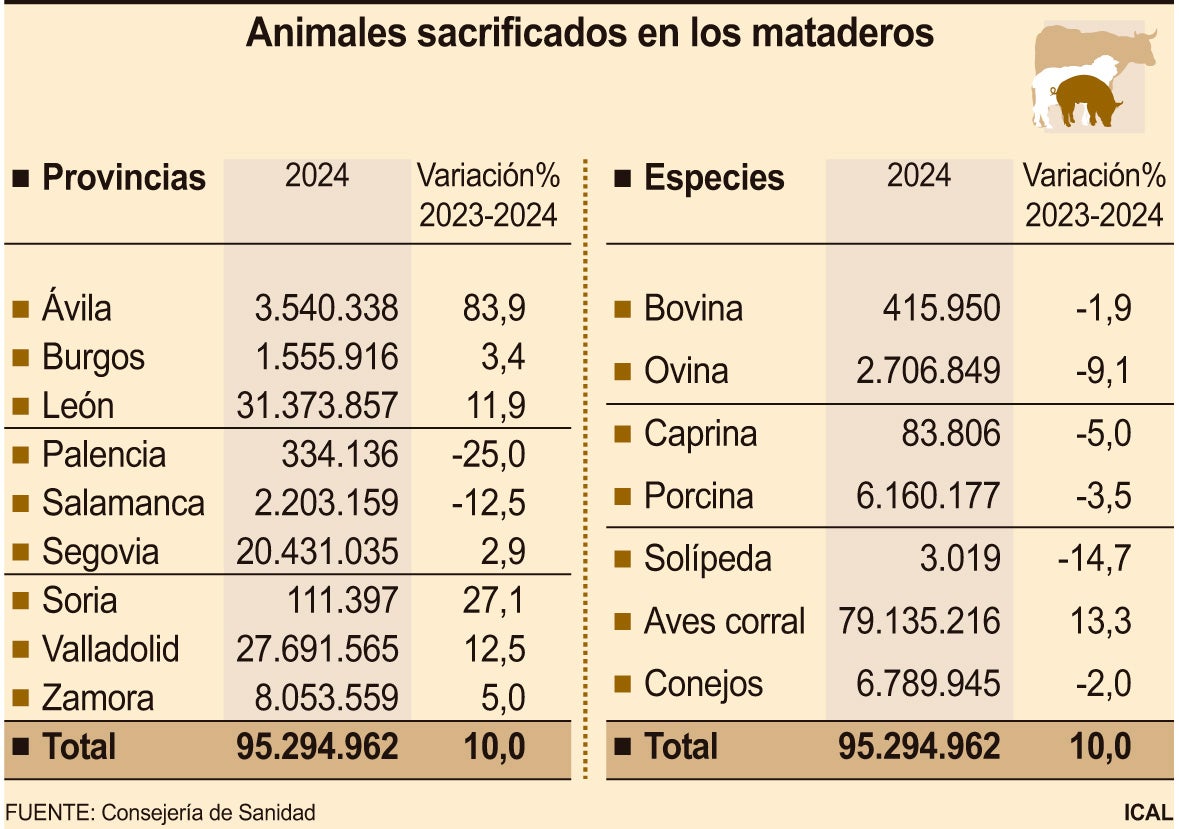 Actividad de los mataderos de Castilla y León.