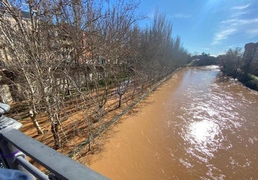 El Duero se desborda en Aranda y piden no transitar por las riberas
