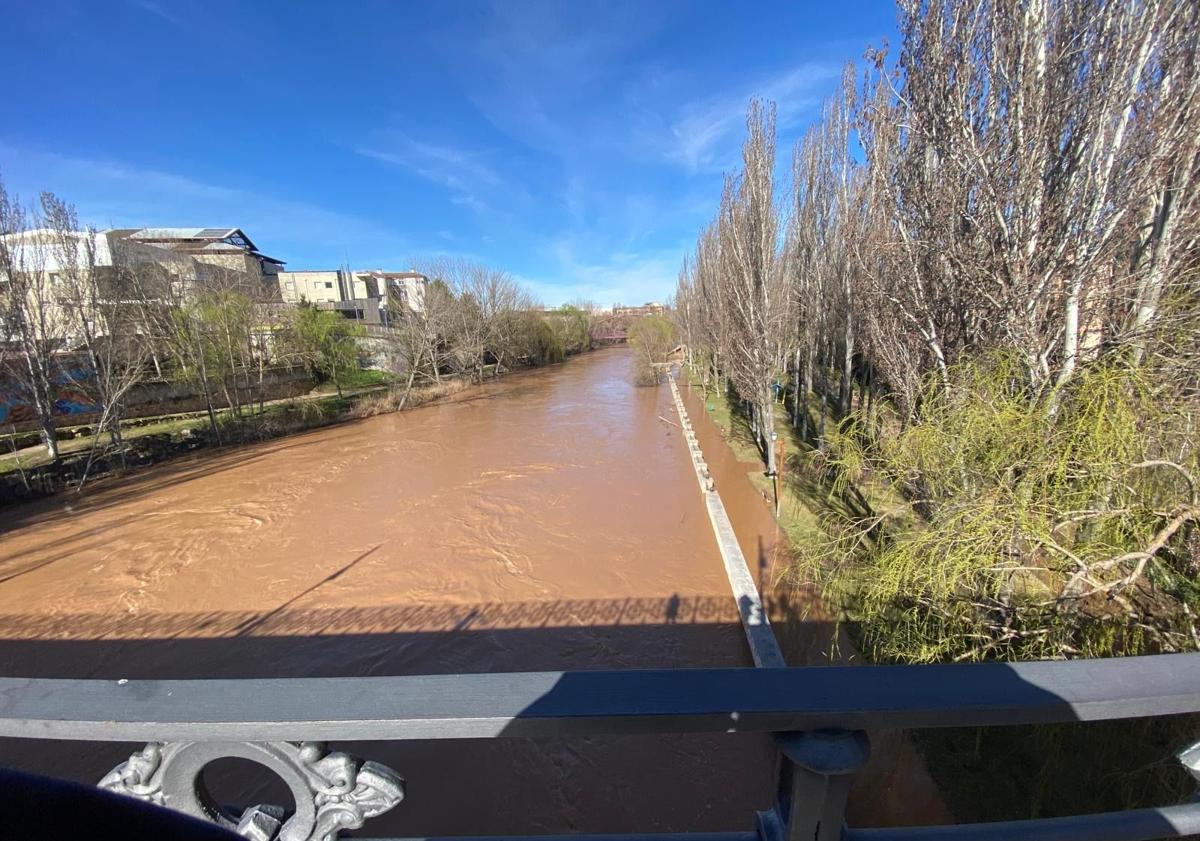 Imagen principal - Imágenes del Duero desbordado en Aranda este lunes.