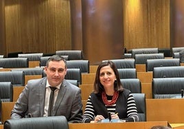 La secretaria general del PSOE de Burgos y diputada nacional, Esther Peña, junto al diputado Álvaro Morales en la comisión.