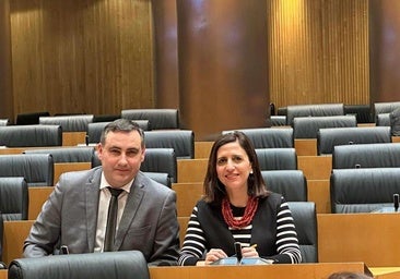 Aseguran que la alta velocidad Burgos-Vitoria estará licitada en 2026