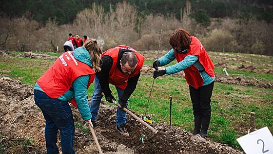 El Bosque Comestible de Burgos comienza con la plantación de los primeros 250 árboles frutales