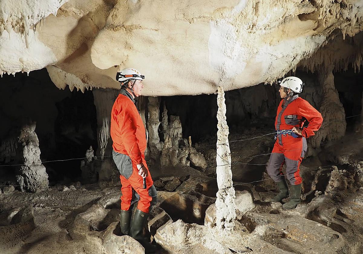 Imagen de archivo de Ojo Guareña.