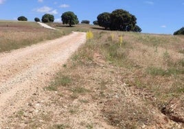 Un tramo del camino que se va a reparar.
