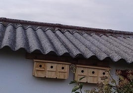 Gorrioneras instaladas en Covarrubias, Burgos.