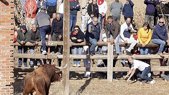 Critican que un pueblo de Burgos ofrezca la entrada gratis a niños a actos taurinos