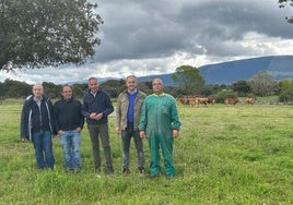 Visita explotación de vacuno en Arcones, Segovia.