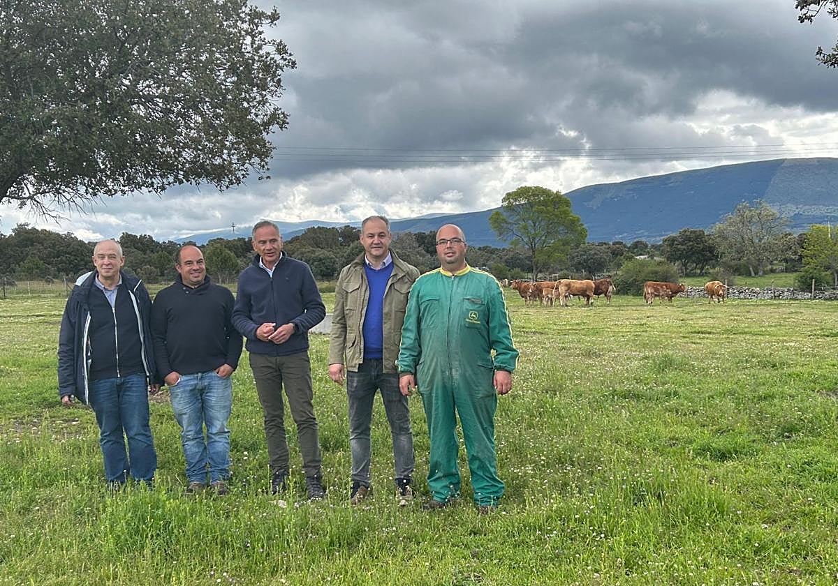 Visita explotación de vacuno en Arcones, Segovia.