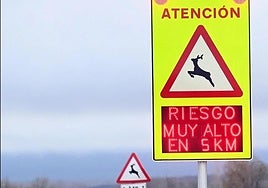 señalización en tramos de alta concentración de accidentes con animales.