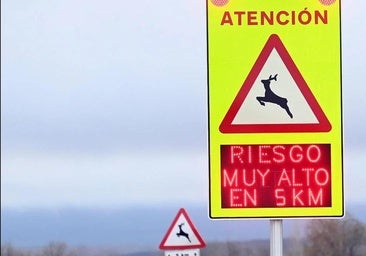 Burgos registra siete accidentes al día provocados por animales en la carretera