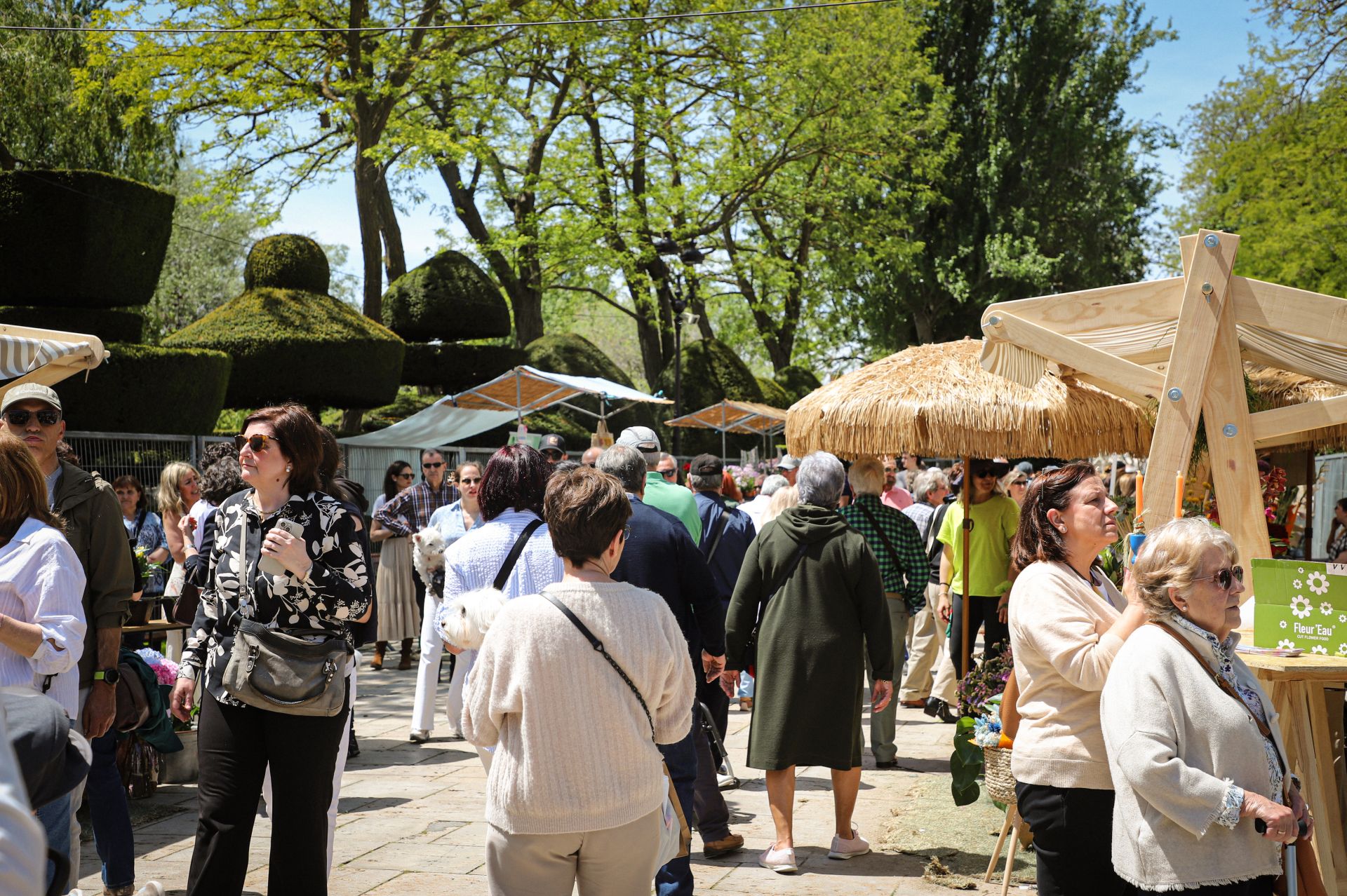 La Fiesta de las Flores de Burgos, en imágenes