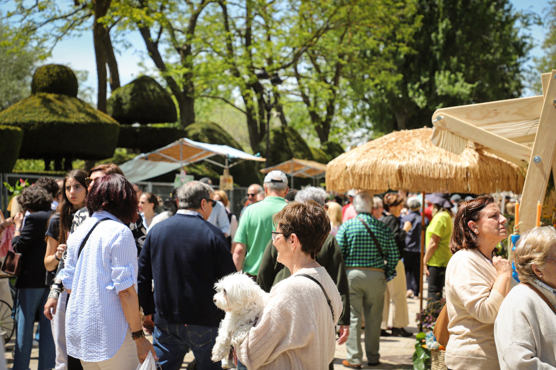 La Fiesta de las Flores de Burgos, en imágenes