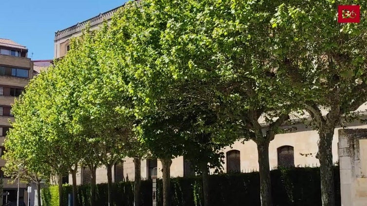 Una calle, un dogma y el alma del pequeño Vaticano de Burgos