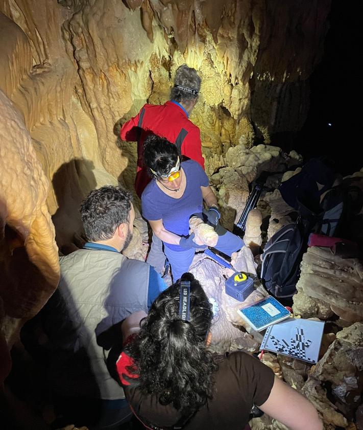 Imagen secundaria 2 - Arriba, orquídeas en Peña Amaya; abajo a la izquierda, Colegeo y, a su lado, investigadores de la UBU en la Cueva de los Franceses.