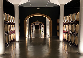 Interior de la bodega Carmelo Rodero en Pedrosa de Duero