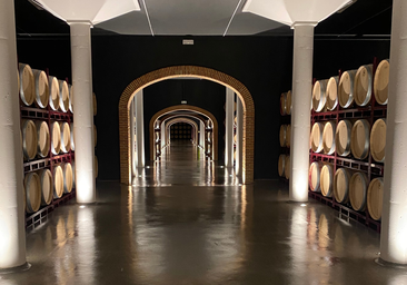 El método único en España para hacer vino que solo se aplica en una bodega de Burgos