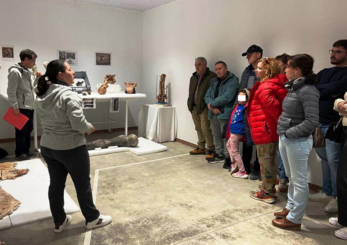 Imagen secundaria 1 - Arriba, participantes en el Congreso 'Las lenguas romances y los dinosaurios: una revolución en la ciencia'; abajo a la izda. muestra de fósiles y visita al laboratorio de restauración del Museo Dinosaurios.