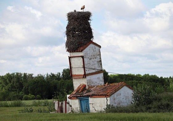 Estructura con la torre inclinada y los tres nidos con una cigüeña y varios cigoñinos.