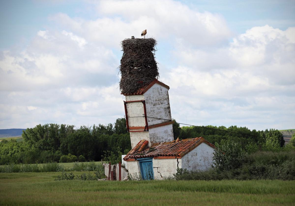 Estructura con la torre inclinada y los tres nidos con una cigüeña y varios cigoñinos.