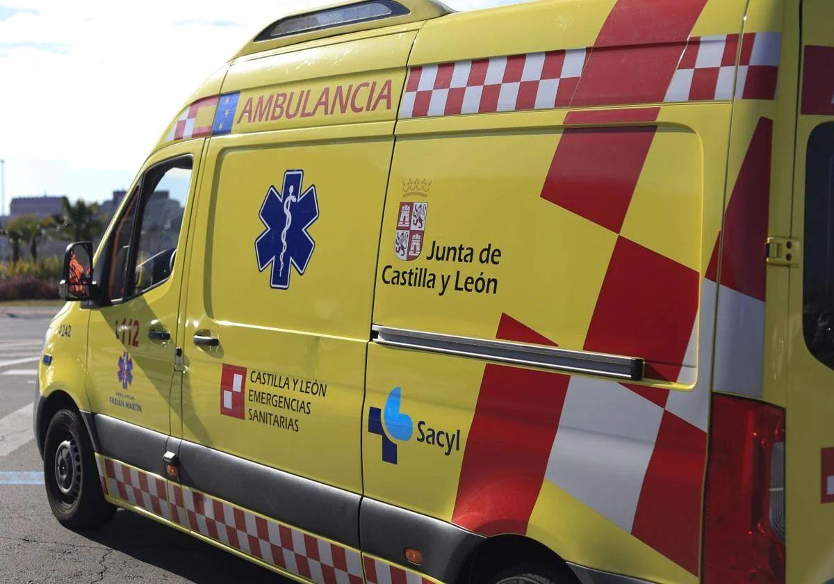 Una ambulancia de soporte vital básico ha acudido al suceso.