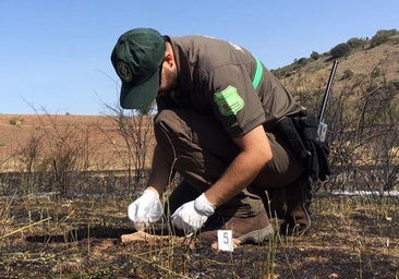 Los agentes forestales rompen la negociación con la Junta por las «condiciones inasumibles» del operativo antiincendios